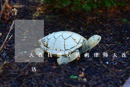 大连找债权债务律师(大连找债权债务律师电话)