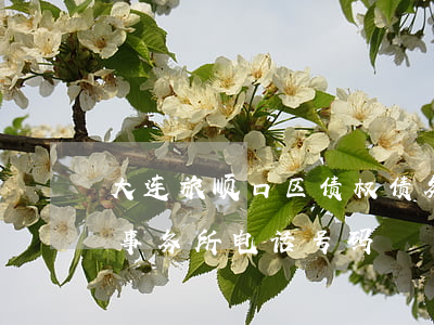 大连旅顺口区债权债务律师事务所(旅顺律师事务所电话号码)