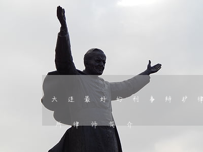 大连最好的刑事辩护律师(大连法大律师事务所律师简介)