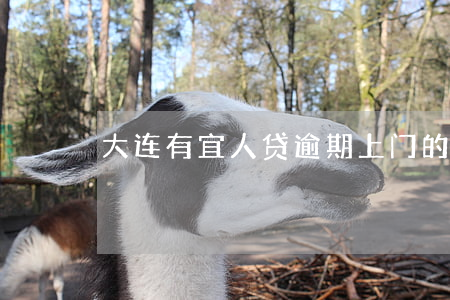大连有宜人贷逾期上门的吗(宜人贷联系电话)