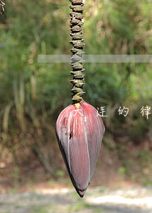 大连的律师事务所(大连市律师事务所)