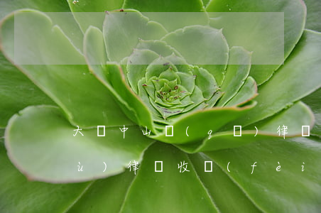 大連中山區(qū)律師（大連中山債務(wù)律師收費(fèi)）