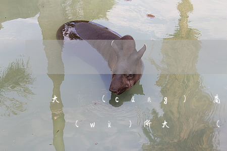 大連倉(cāng)豐商標(biāo)事務(wù)所(大連倉(cāng)豐商標(biāo)事務(wù)所 概況電話)