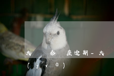 大連凱泰銘座逾期-大連凱泰銘座二手房價(jià)