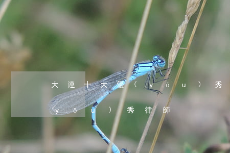 大連十大優(yōu)秀律師(大連十大優(yōu)秀律師)