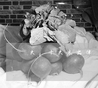 大連十大杰出律師王福旭(大連好律師)