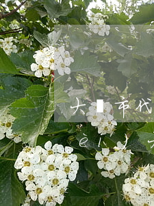 大連市代理醫(yī)療律師怎么收費(fèi)(大連律師事務(wù)所咨詢收費(fèi)標(biāo)準(zhǔn))