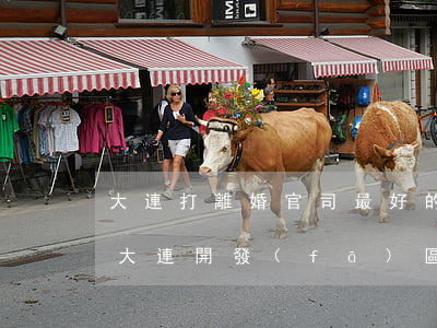 大連打離婚官司最好的律師事務(wù)所(大連開發(fā)區(qū)離婚律師)