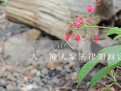 大連撞人案，法律如何定罪
