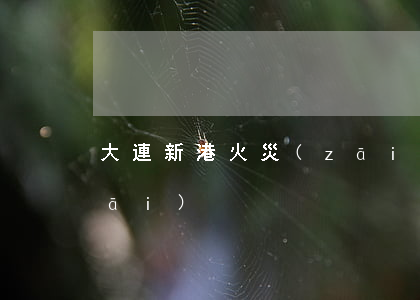 大連新港火災(zāi)(大連新港火災(zāi))
