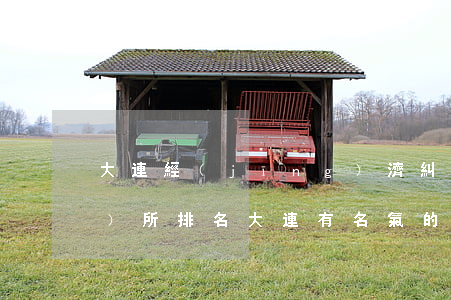 大連經(jīng)濟糾紛律師事務(wù)所排名(大連有名氣的律師)