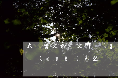 大連育文和匯文哪個(gè)好(大連弘文中學(xué)怎么樣)