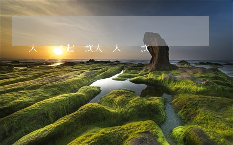 大連還不起貸款(大連大額貸款)