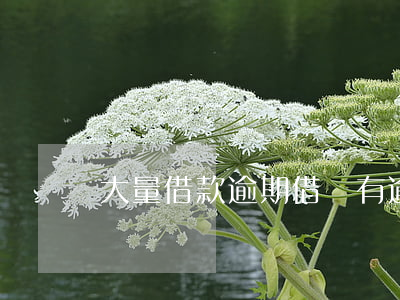 大量借款逾期(借錢有逾期)