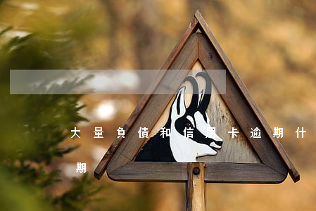 大量負債和信用卡逾期(什么是信用卡嚴重逾期)