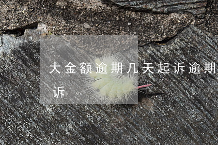 大金额逾期几天起诉(逾期多大金额法院才起诉)