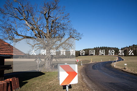 大閘蟹買賣合同糾紛怎么處理