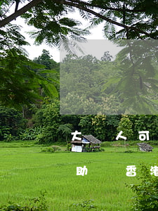 大陸人可以在香港申請(qǐng)法律援助嗎(香港法律援助署)