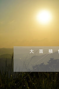 大面積信用卡逾期(最新的信用卡逾期處理)