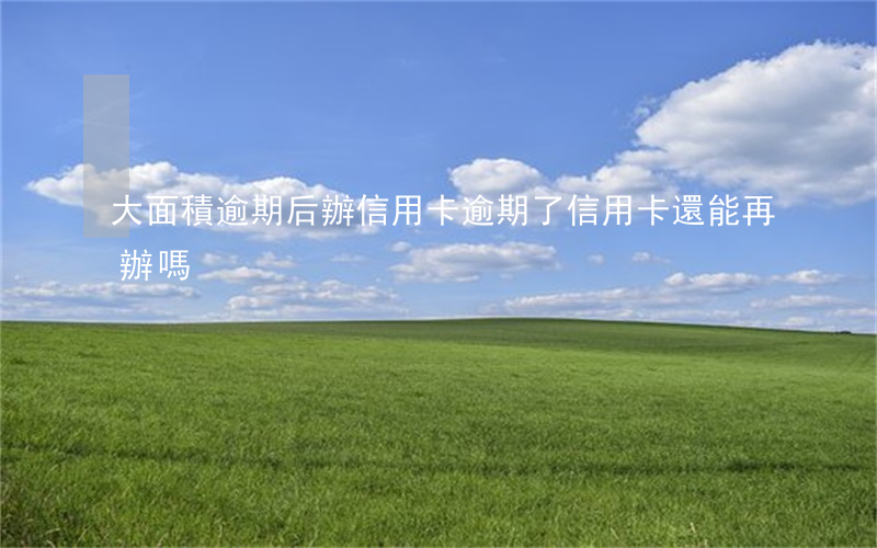 大面積逾期后辦信用卡(逾期了信用卡還能再辦嗎)