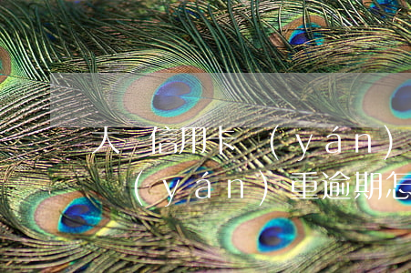 大額信用卡嚴(yán)重逾期(大額信用卡嚴(yán)重逾期怎么辦)