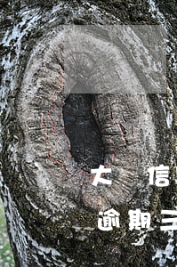 大額信用卡逾期三個月會怎樣(每個月信用卡逾期三天)