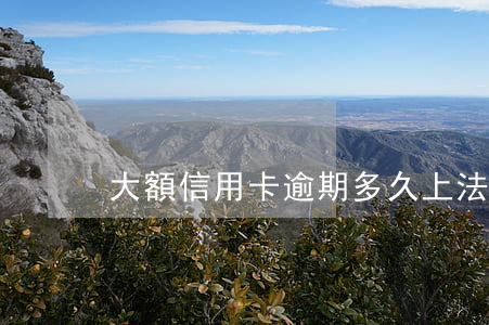 大額信用卡逾期多久上法院