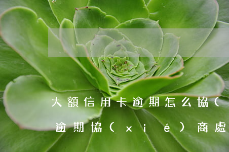 大額信用卡逾期怎么協(xié)商(信用卡逾期協(xié)商處理方法)