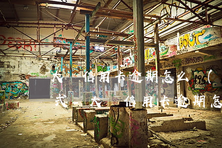 大額信用卡逾期怎么協(xié)商還款方式-大額信用卡逾期怎么協(xié)商還款方式呢