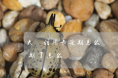 大額信用卡逾期怎么辦貼吧(有貸款信用卡逾期了怎么辦)