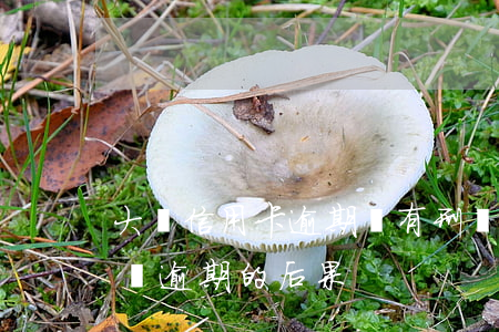 大額信用卡逾期會有刑責(zé)(信用卡大額逾期的后果)