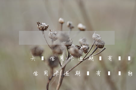 大額信用卡逾期沒有償還能力怎么辦-大額信用卡逾期沒有償還能力怎么辦理
