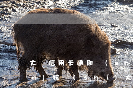 大額信用卡逾期說(shuō)上門(mén)核實(shí)(大額信用卡逾期說(shuō)上門(mén)核實(shí))