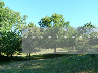 大額信用卡逾期賬單(好幾個銀行信用卡逾期)