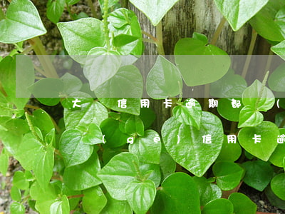 大額信用卡逾期都會(huì)起訴嗎(好幾個(gè)信用卡逾期了)