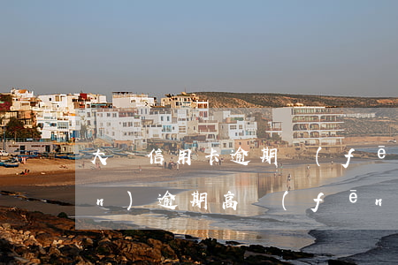 大額信用卡逾期風(fēng)險(xiǎn)(逾期高風(fēng)險(xiǎn)客戶后果)