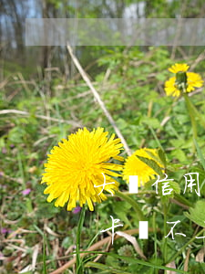 大額信用卡還不上會坐牢嗎知乎-大額信用卡還不上會坐牢嗎知乎
