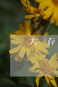 大額存單利率(大額存單利率)