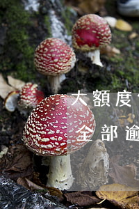 大額度信用卡逾期后 十幾個(gè)信用卡全部逾期了