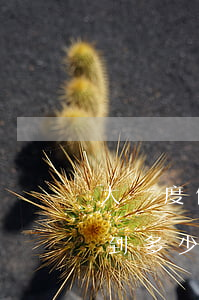大額度信用卡逾期會判刑(信用卡逾期金額達到多少涉及刑事)