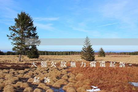 大額欠款無力償還起訴-大額借款不還如何起訴