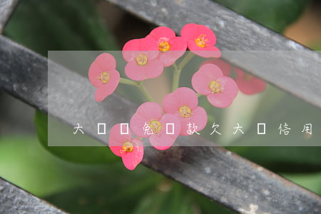 大額減免還款（欠大額信用卡減免利息）