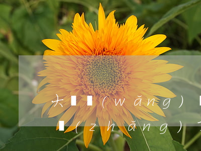 大額網(wǎng)貸逾期時(shí)間長(zhǎng)了(網(wǎng)貸逾期好幾年了)