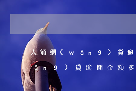 大額網(wǎng)貸逾期被起訴的(網(wǎng)貸逾期金額多少會(huì)被起訴)