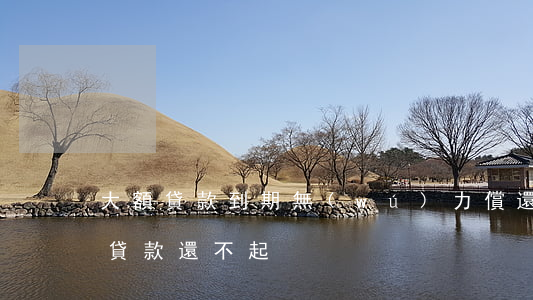 大額貸款到期無(wú)力償還怎樣辦（大額貸款還不起）