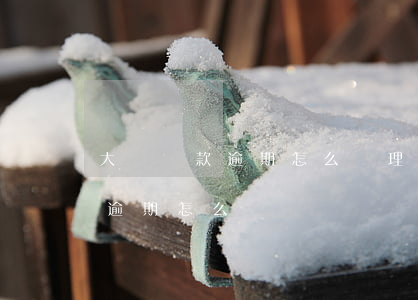 大額貸款逾期怎么辦理信用卡(貸款有信用卡逾期怎么辦)