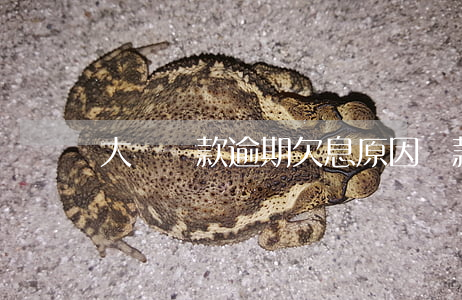 大額貸款逾期欠息原因(貸款欠息算逾期嗎)