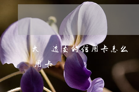 大額透支的信用卡怎么辦理(怎樣申請透支信用卡)