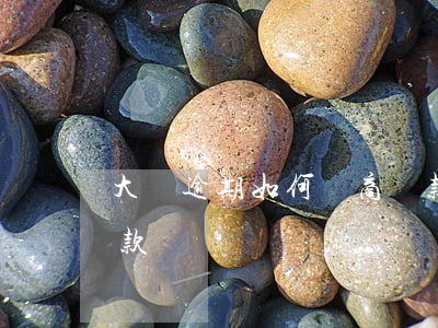 大額逾期如何協商還款(大額逾期如何協商還款)