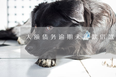大额债务逾期未还款(借款过多但没有逾期)